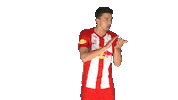 Well Done Applause Sticker by FC Red Bull Salzburg