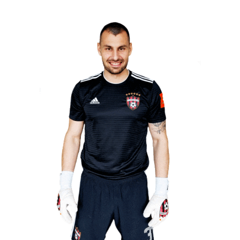 Spartak Trnava Football Sticker by Fortuna Liga