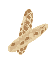 LevaduraMadre bread bakery sourdough levaduramadre Sticker