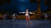 Enblecorsaire GIF by English National Ballet