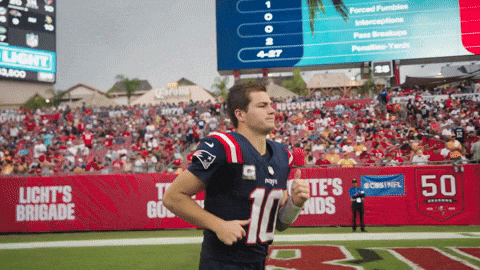 Football Nfl GIF by New England Patriots