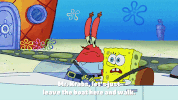 season 9 lost in bikini bottom GIF by SpongeBob SquarePants