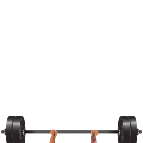 Happy Birthday GIF by Janeen Lankowski, IFBB PRO