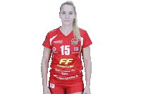 Mestaruusliiga Sticker by LP Viesti