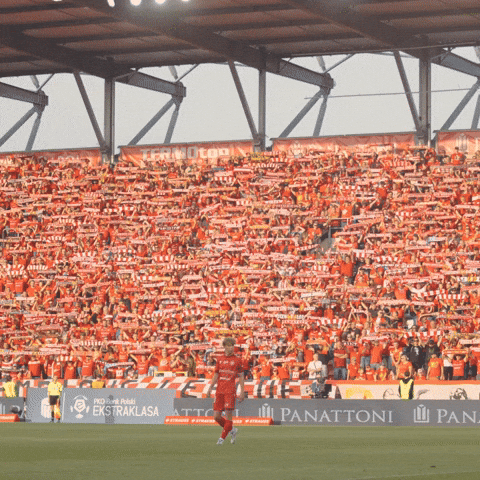 Football Rts GIF by Widzew Łódź