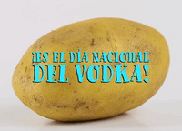 ¡Es el Día Nacional del Vodka!
