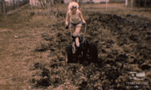 home movie orange GIF by Texas Archive of the Moving Image
