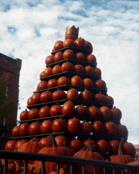 Jack O Lantern Halloween GIF by Hunter Preston