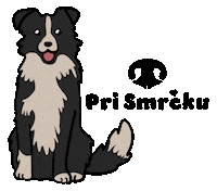 Border Collie Dog Sticker by Pri Smrčku