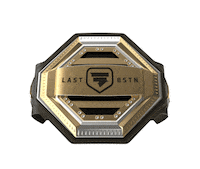 LastBSTN fight win ufc winner Sticker