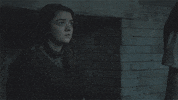 GIF by Game of Thrones