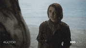 Hbo GIF by Game of Thrones