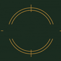 Chevrolet GIF by Sinoscarrs