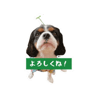 Cavalierkingcharlesspaniel Sticker