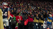 The Lion King Football GIF by New England Patriots