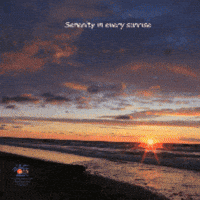 thewhitesands thewhitesands pointpleasantbeach whitesandsppb michelechiaia GIF