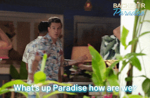 bachelorinparadiseau island bachelor paradise fiji GIF