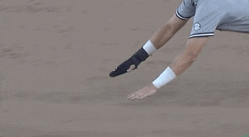 Baseball College GIF by NCAA Championships