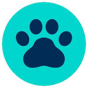 Lifeat2U Sticker by 2U, Inc.