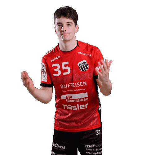 pfadiwinterthur giphyupload handballschweiz pfadiwinterthur gmeinsamfürpfadi Sticker