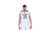 Basketball Bluehens Sticker by Delaware Blue Hens