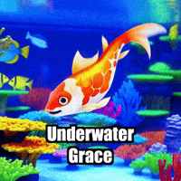 Koi Fish Aquatics GIF by TheConfishius