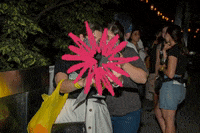 GIF by The Society of Beer Drinking Ladies