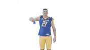 Get Up Football Sticker by Delaware Blue Hens