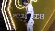 Georgia Tech Baseball GIF by Georgia Tech Yellow Jackets
