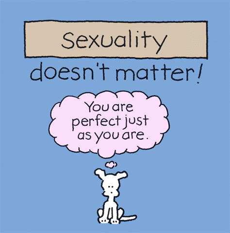 GIF by Chippy the dog
