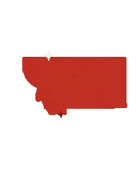 States Sparkle Sticker by montanawestern