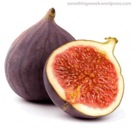 images fig GIF