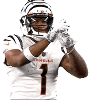 National Football League Sticker by NFL