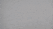 Surprise Chicken GIF by Rogue