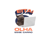 Garantia Certificado Sticker by Karvi