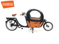 babboe_cargobike city transporter cargobike bakfiets GIF