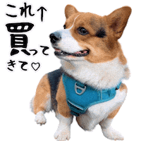 Corgi Milo Sticker