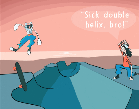 Double Helix Joke GIF by BYU MMBio