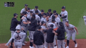 Celebrate Detroit Tigers GIF by MLB