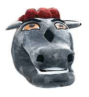 University Of Ottawa Geegees Sticker by uOttawa