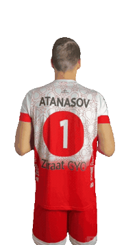 Volleyball Sticker by Ziraat Bankası Spor Kulübü