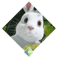 bunny rabbit Sticker