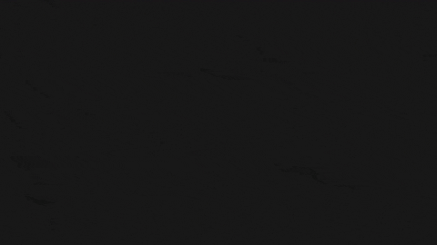 billet22 giphyupload clothing bmx womens GIF