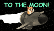 To The Moon Rocket GIF by Doge Pound