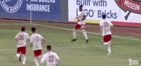 celebration crowd GIF by NYRB II