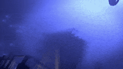 Power Showdown GIF by BLAST