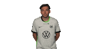 Vfl Wolfsburg What Sticker by Bundesliga