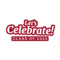 Class Of 2020 Seniors Sticker by Muhlenberg College