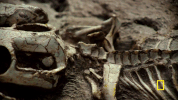 one strange rock GIF by National Geographic Channel