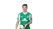 Bundesliga Austria Sticker by SV Werder Bremen